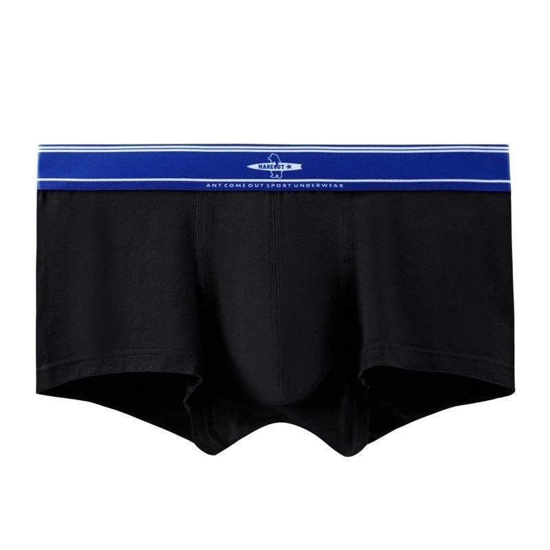 Custom Trunks For Your Brand suppliers